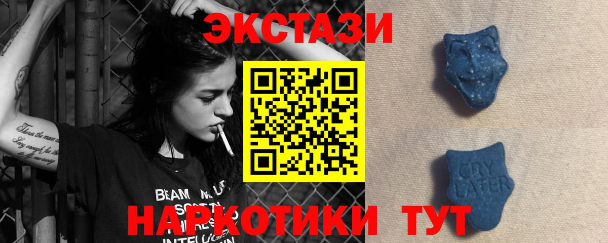 Ecstasy  Ecstasy Philipp Plein  Вход с VPN  Будённовск 