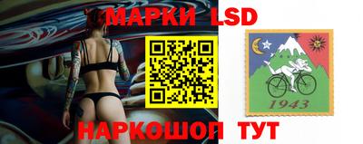 spice Кингисепп