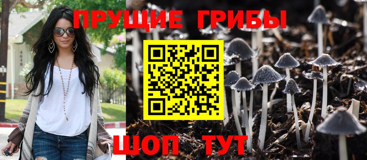 Псилоцибиновые грибы Magic Shrooms  Псилоцибиновые грибы Psilocybe  Вход с VPN  Будённовск 