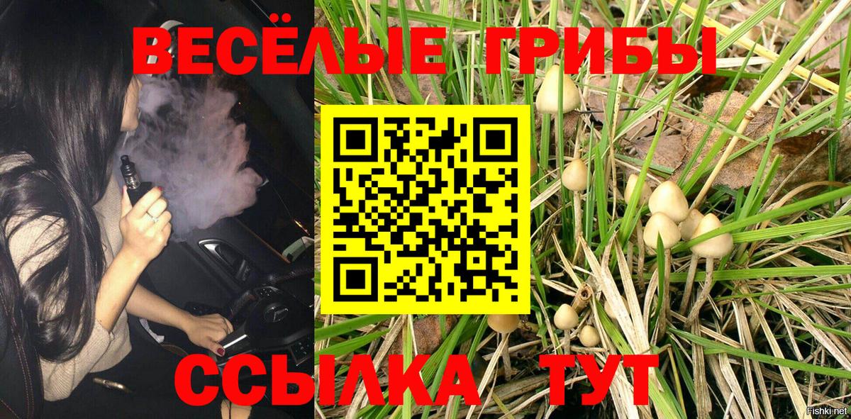 Галлюциногенные грибы Cubensis Будённовск